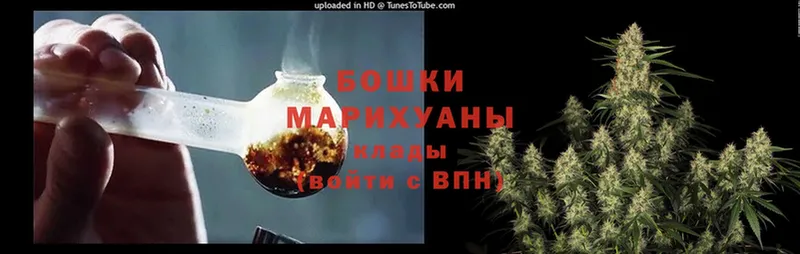 закладки  Межгорье  МАРИХУАНА гибрид 